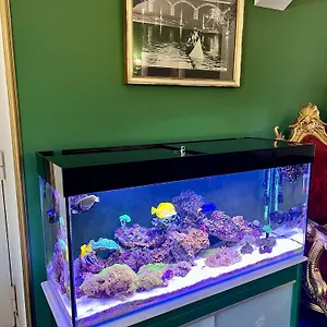 check availability